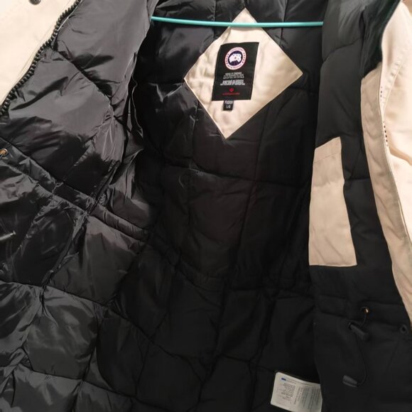 Canada goose - Picture 2 of 5